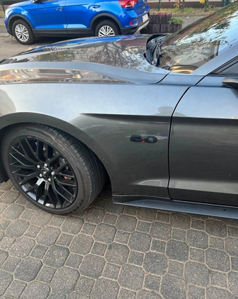 Ford Mustang cena 145000 przebieg: 69000, rok produkcji 2019 z Warszawa małe 436